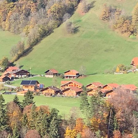 Chalet Park Apartment mit Sauna Hamam Diemtigen Bagian luar foto