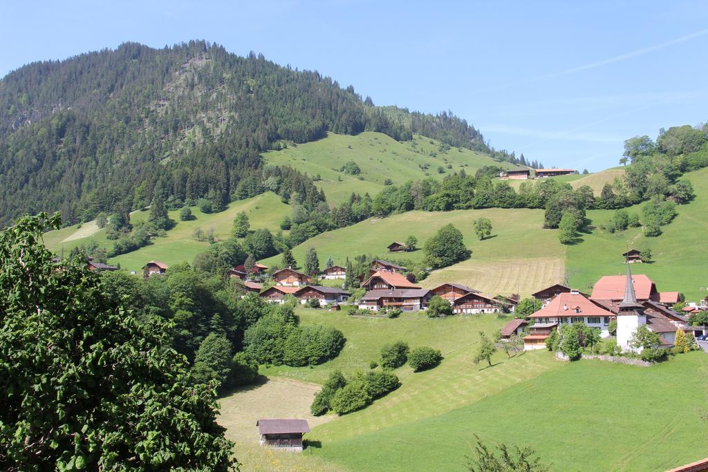 Chalet Park Apartment mit Sauna Hamam Diemtigen Ruang foto